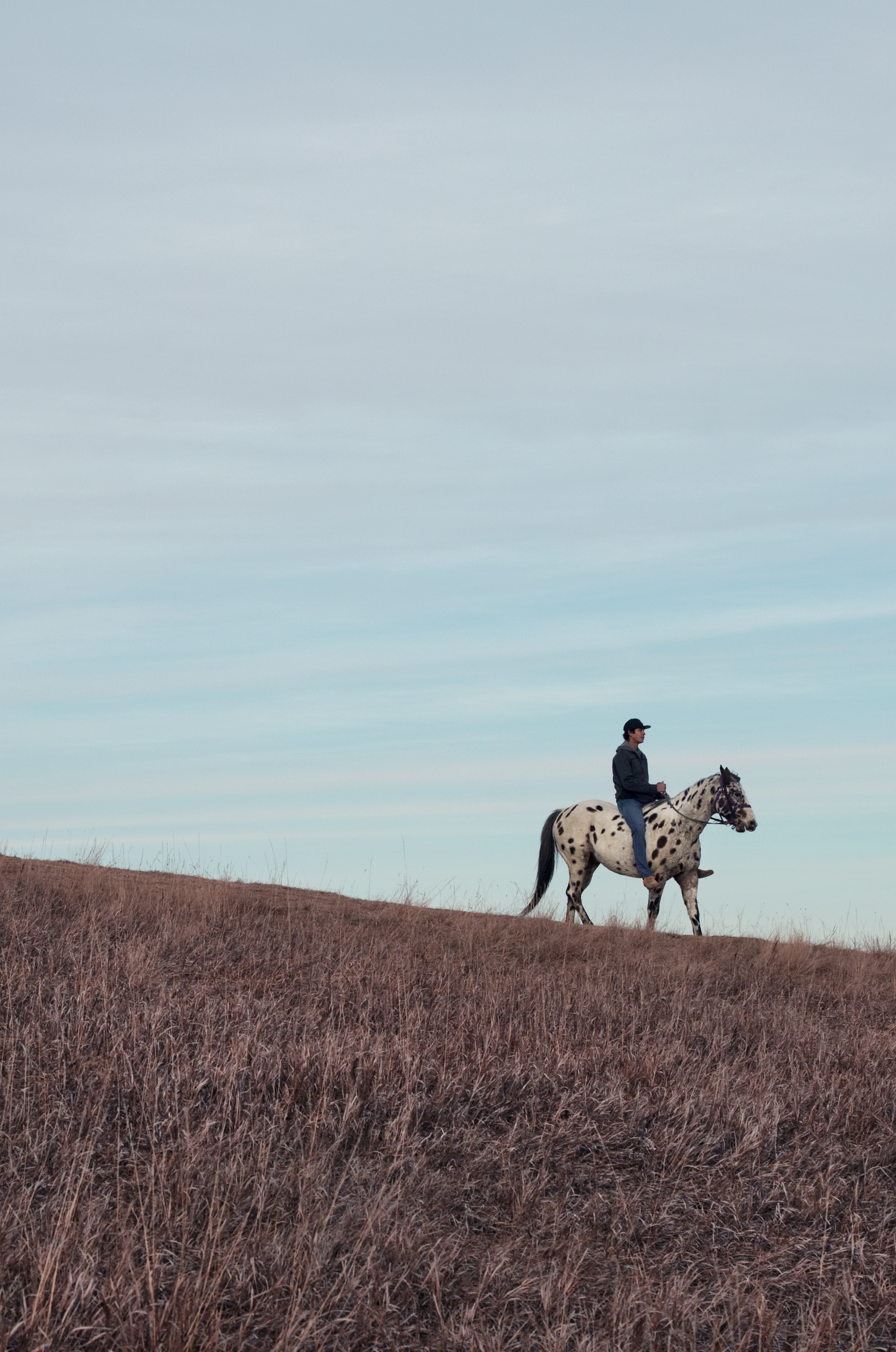 Man riding horse down Media Hill. Photo credit: Natalie Escobedo