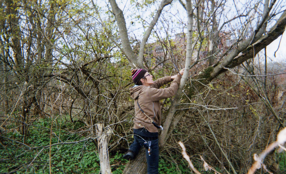 An image of a woman with a brown jacket and purple hat climbing a tree.
