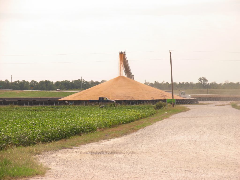 Corn being unloaded into a pile owned by Cargill for temporary storage just outside Beardstown, IL. 2010.