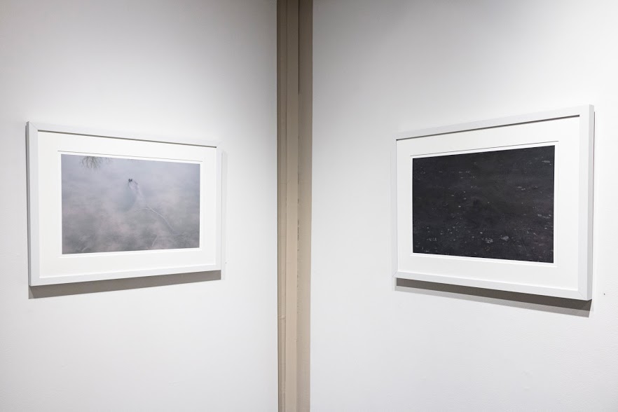 Nancy Fewkes, Site A, Spring Lake, 2.17 and Site A, Spring Lake, 12.16, archival digital ink jet print. Image courtesy of Lucas Stiegman.