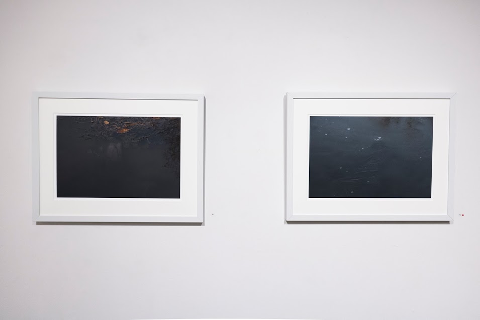Nancy Fewkes, Site A, Spring Lake, 11.15 and Site A, Spring Lake, 1.17, archival digital ink jet print. Image courtesy of Lucas Stiegman.