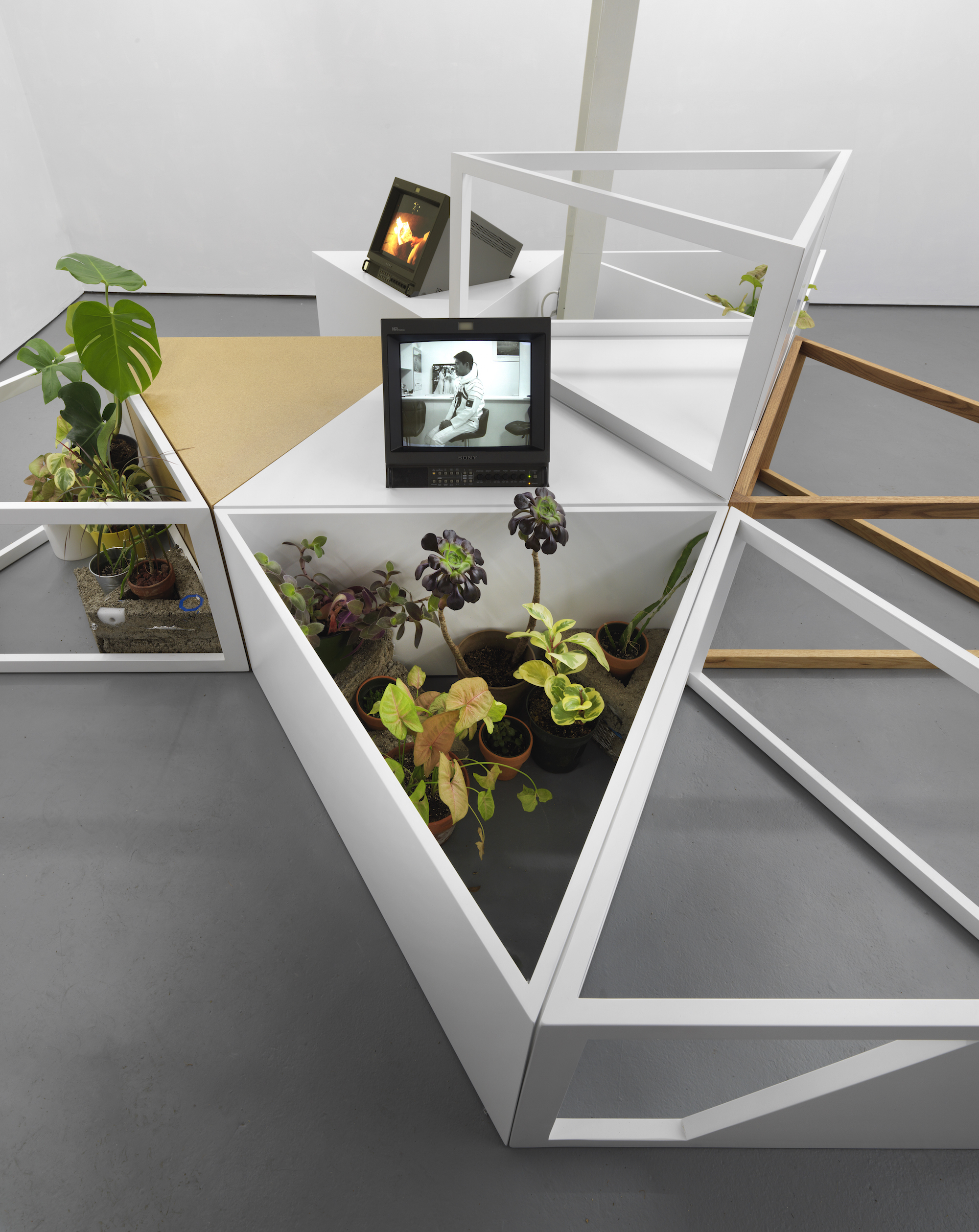 Image: Photo of multiple white and brown wooden triangle segments joined alongside each other, with one stacked on top. Two segments in the foreground hold varied amounts of potted plants with green, purple, and yellow leaves. Set on the top of one segment is a TV screen directly facing the viewer. The screen shows black and white image of a cosmonaut sitting sideways on a chair in a space suit without a helmet. In the background, a second TV is faced at an angle and tilted upwards displaying a yellow, red, and black image. Image courtesy of artist. 
