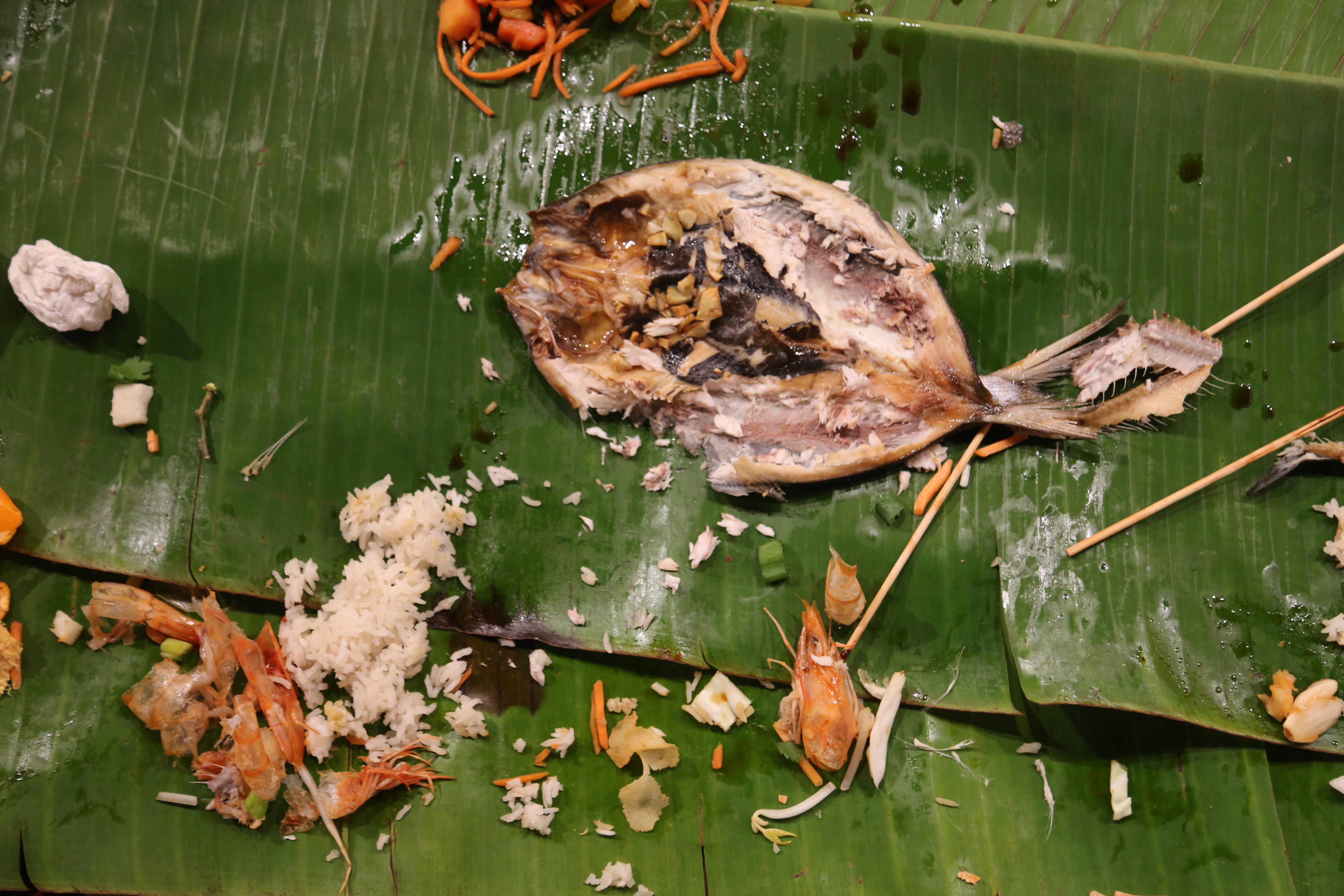 Image: Photo from Devyn's feast at Ground Level Platform shows a closeup of the food left on the green banana leaf table. Most prominently is a dismembered football-shaped fish laying flat with bits of rice scattered around it. A wadded up tissue rests on the left side of the image. Photo courtesy of artist.