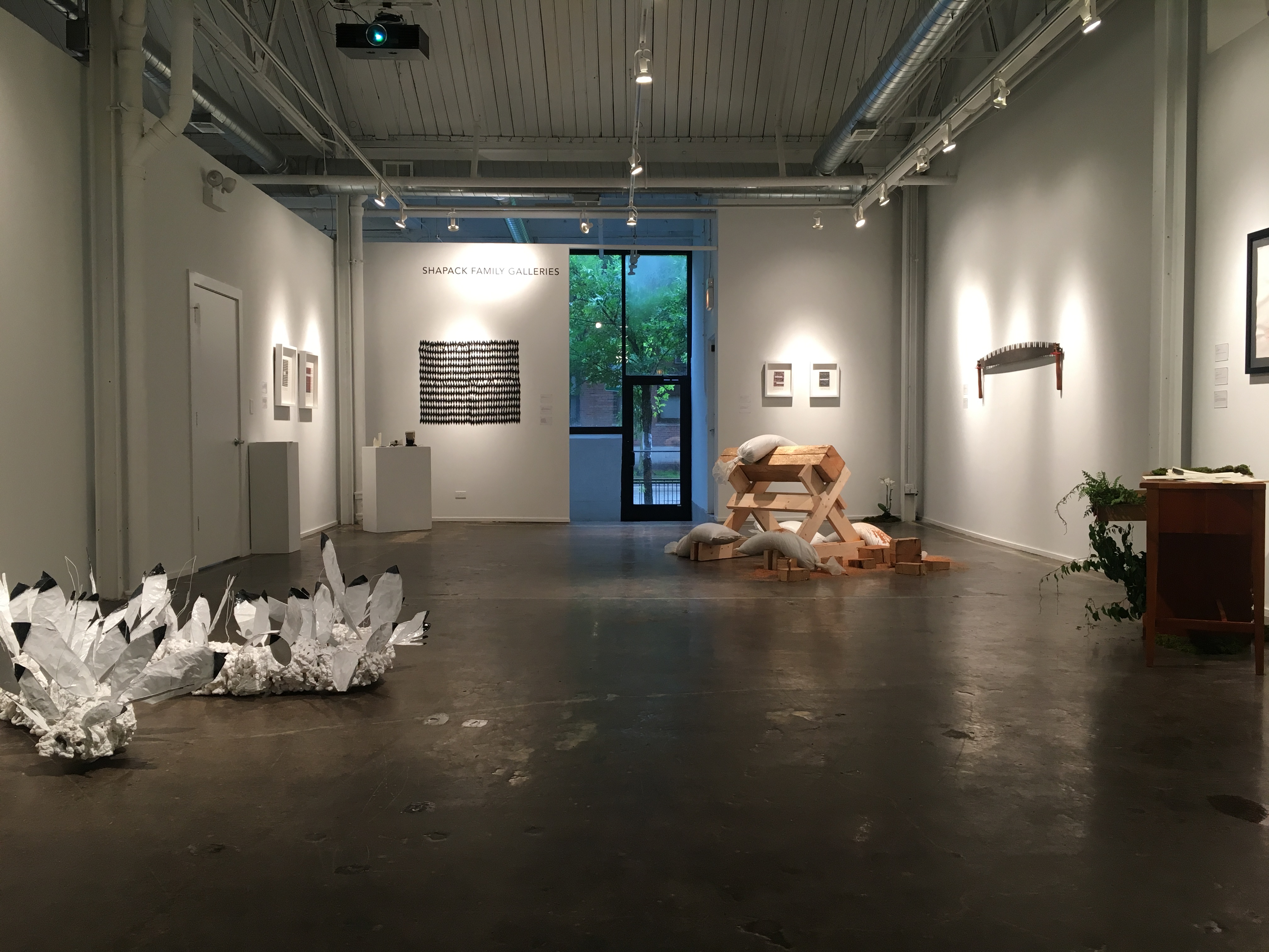 Image: A gallery view of the Shapack Family Galleries. A few pieces or work hang from the white walls as spotlights point in their direction. A few larger pieces are displayed on the concrete gallery floor. Straight ahead, a leafy green tree can be seen outside through the glass door that acts as entrance to the Chicago Artists Coalition building and the gallery space. Photo Courtesy of Chicago Artists Coalition.