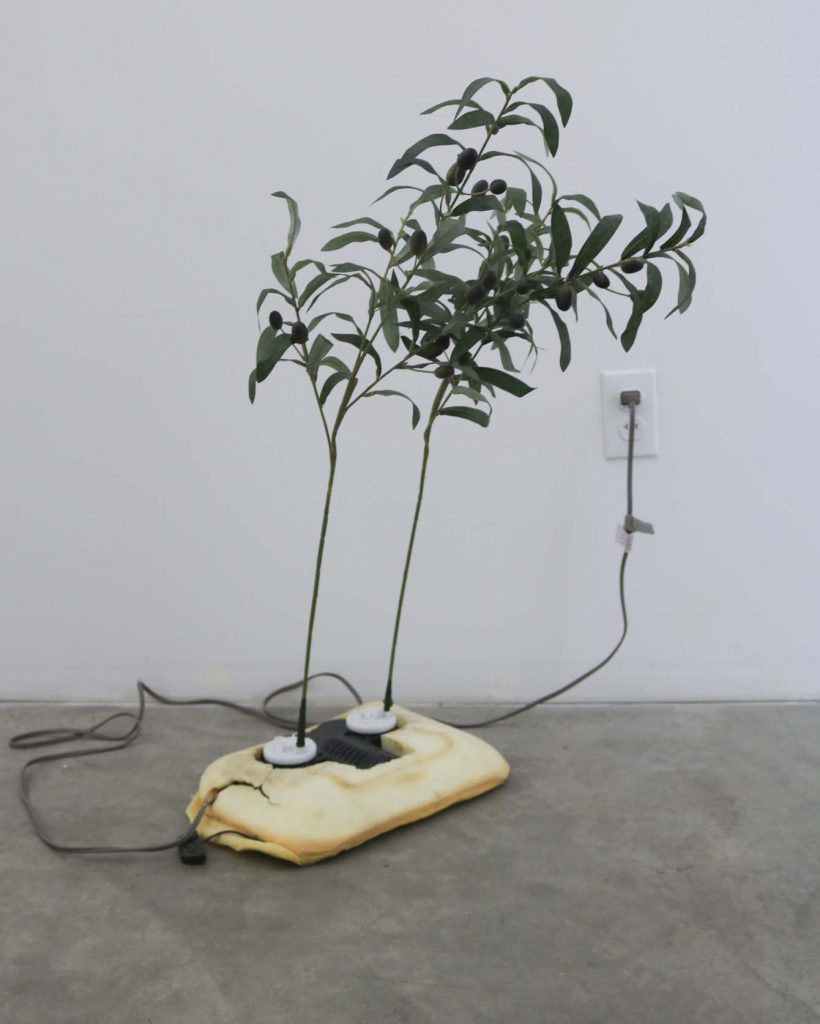 Rachel Youn, Adulators, 2019. Shiatsu foot massager and artificial olive branches. Photo courtesy of the artist. 