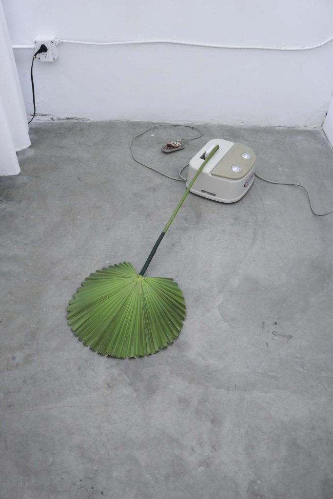 Rachel Youn, Devotee, 2019. Chi swing, artificial fan palm, and motion sensor.  Photo courtesy of the artist. 