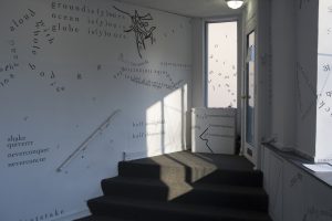 The photograph shows parts of gallery walls as well as the triangular entry-way, with no people present. In the center of the image, there are three grey, carpeted stairs descending from the entry-way into the gallery space. Light from the door’s window casts sharp shadows onto a wall, the floor, and the stairs. Black vinyl letters are installed directly onto the white gallery walls, in the form of words and phrases in English and Hindi. Text appears in different sizes and spatial orientations (e.g., right-side up, upside-down, diagonal, vertical, and organic shapes), with some words/phrases expanded in space, condensed, or intersecting with other text. Gestural drawings — also made of black vinyl — are shown near the center of the image.