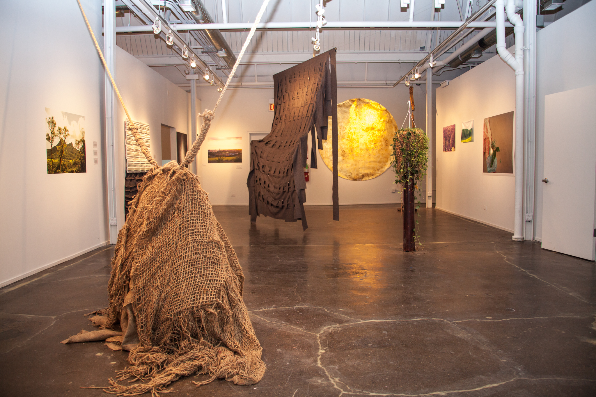 Featured Image: Installation view of "Leaf by Leaf" exhibition,  featuring artwork by Yasmin Spiro, Whit Forrester, and India Martin. The exhibition was part of HATCH projects, curated by Sabrina Greig. The exhibition ran from August 24th — September 13th and was located at the Chicago Artist Coalition. 