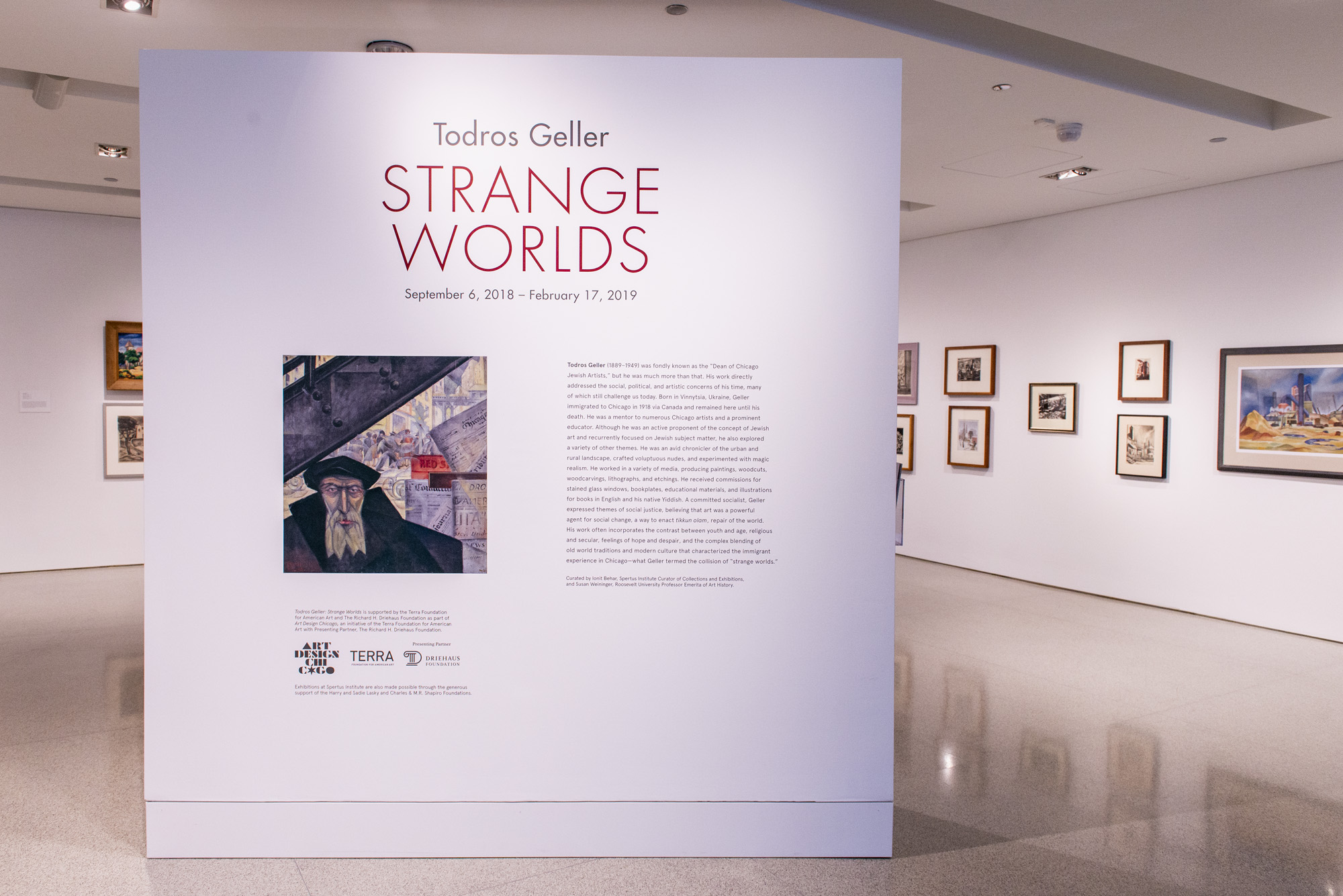 Locating Your Practice in ‘Todros Geller: Strange Worlds’ with Curator Susan Weininger