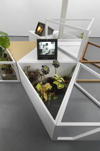 Image: Several small plants in a large triangular planter with a TV screen overhead. Photo by Reuben Westmaas.