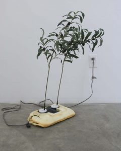 Rachel Youn, Adulators, 2019. Shiatsu foot massager and artificial olive branches. Photo courtesy of the artist.