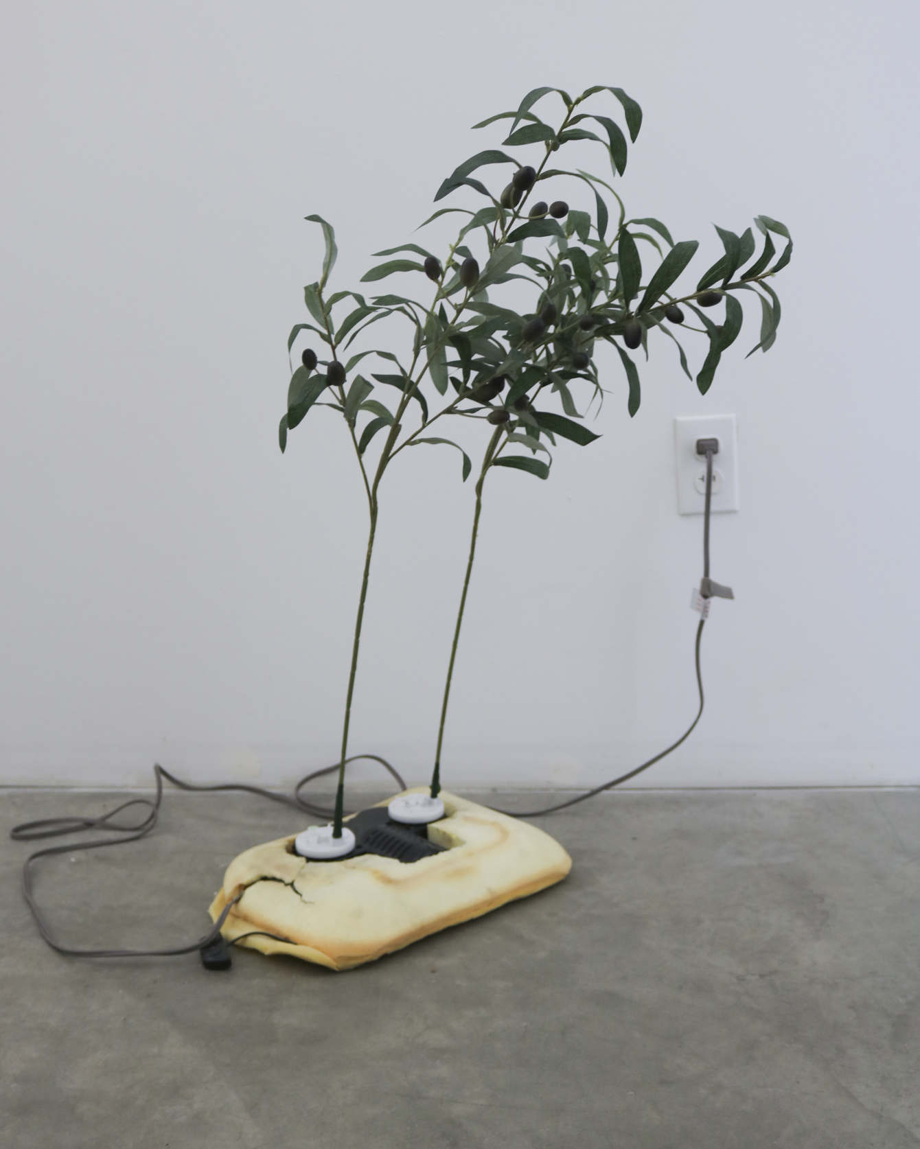 Rachel Youn, Adulators, 2019. Shiatsu foot massager and artificial olive branches. Photo courtesy of the artist.