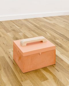 Image: Gordon Hall’s “Closed Box with Painted Top” (2019), courtesy Document Gallery.