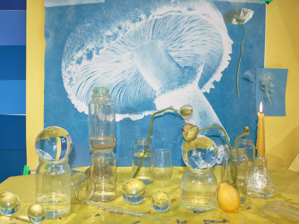 Image: Ice, Water, 2020 by Marzena Abrahamik. A photograph of an arrangement of glass containers carrying water with flowers and lemons. These objects sit in front of a large blue and white image of a mushroom. The composition is dominated by yellow and blue. Image courtesy of the artist.