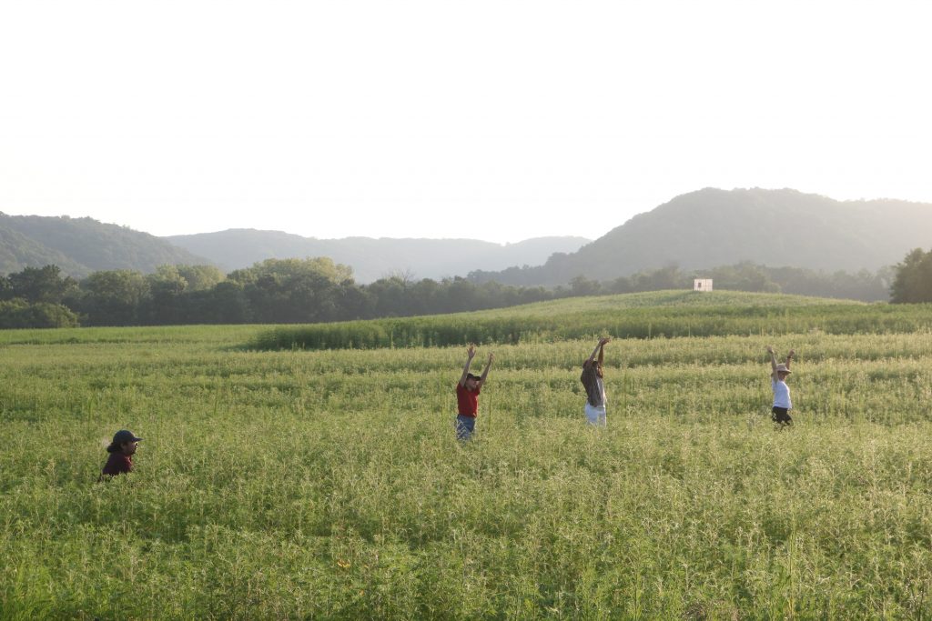 Image: ACRE residents stand in a green valley surrounded by hills in rural Wisconsin. Three of the people in the field are standing with their hands raised above their heads, and the person to the left is crouching towards the ground. Photo by Zachary Hutchinson, courtesy of ACRE. 