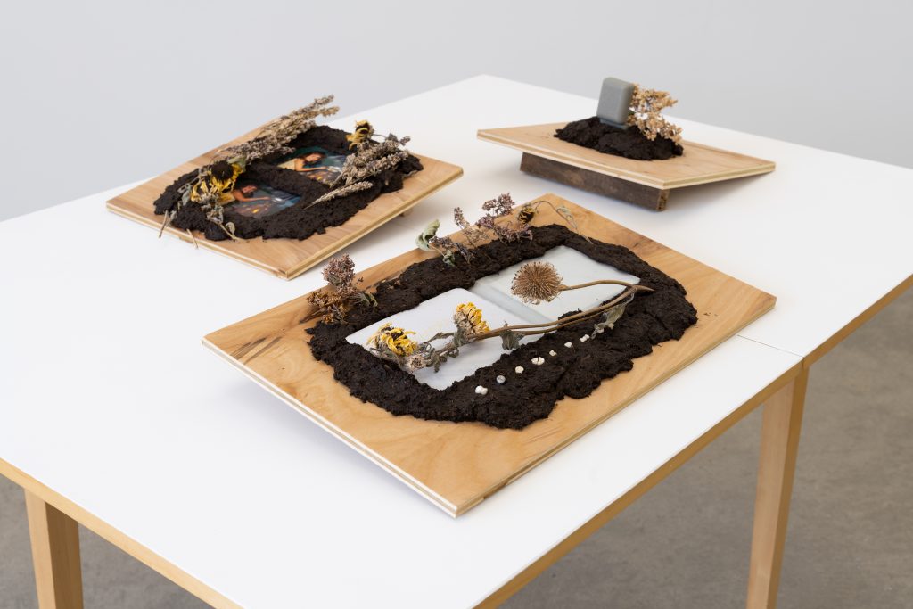 Image: Lilacs, Deadname, and Hidden Cross, 2020 by Cass Davis. Three mixed media pieces in cast soil, flowers and other objects on a wooden panel. The three pieces sit on a white table. Image courtesy of the artist. Photo by Nick Albertson.
