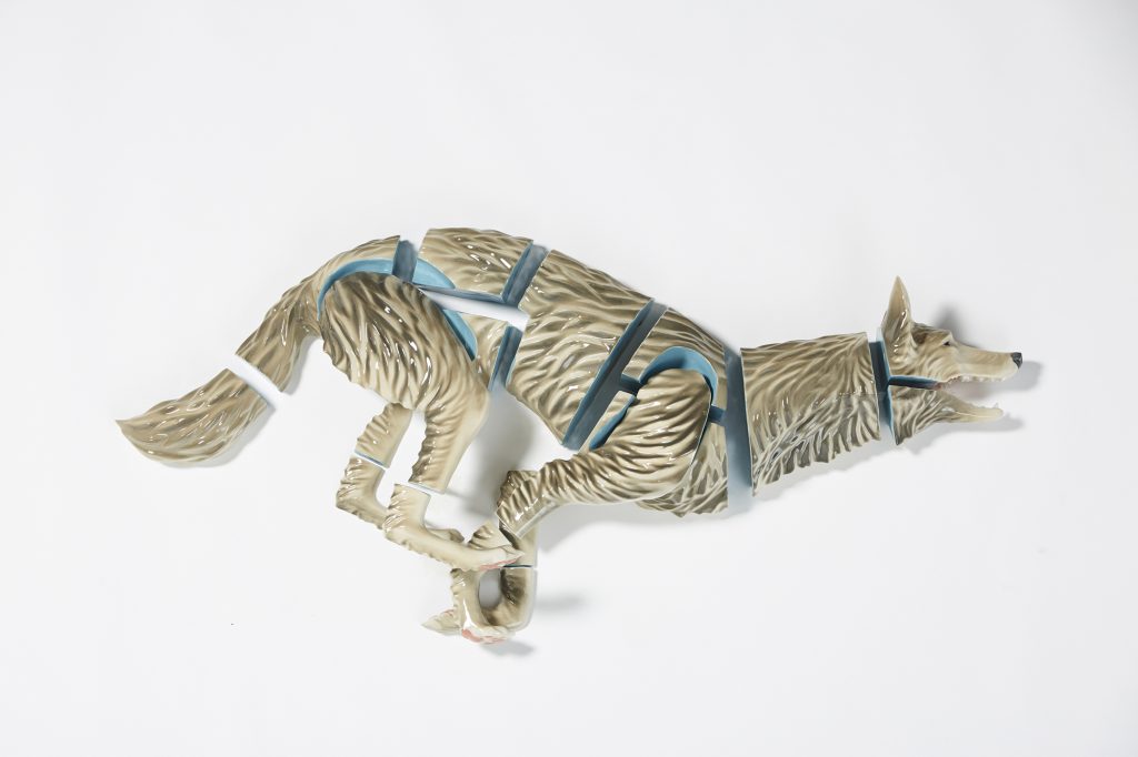 Emmy Lingscheit, Canis Latrans Subdivision I, cast vitreous china, glaze, dimensions variable, 2015. A sculpture of a wolf seen from the side, face to the right side of the image. The wolf appears to be running, its four legs together coiled in potential movement. The sculpture consists of several pieces that are slightly spaced apart. The fur of the wolf is glazed in brown-gray and whites. The areas of the sculpture that should be touching are glazed in blue. Photo courtesy of Emmy Lingscheit.