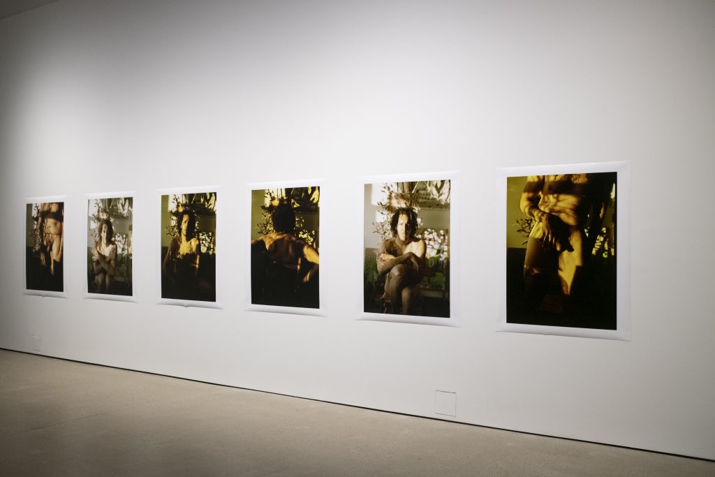 Image: Installation view of when i see me by Benjamin Willis, which is comprised of six photographs of the artist in largely green and yellow tones. Image courtesy of the gallery. Photo by Ty Wright.