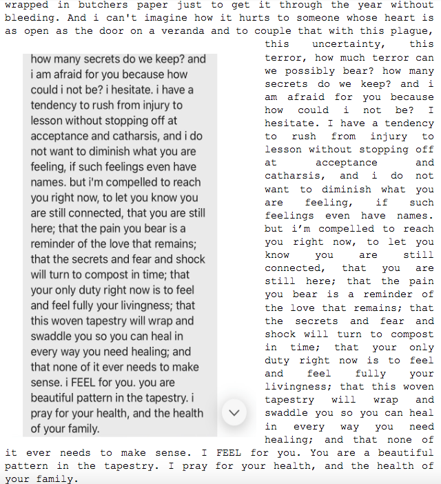 Image: Text messages between Angel and Dain. Continued from Dain: "...wrapped in butchers paper just to get it through the year without bleeding. And i can't imagine how it hurts to someone whose heart is as open as the door on a veranda and to couple that with this plague, this uncertainty, this terror, how much terror can can we possibly bear? how many secrets do we keep? and i am afraid  for you because how could i not be? I hesitate. I have a tendency to rush from injury to lesson without stopping off at acceptance and catharsis, and i do not want to diminish what you are feeling, if such feelings even have names. but i'm compelled to reach you right now, to let you know you are still connected, that you are still here; that the pain you bear is a reminder of the love that remains; that the secrets and fear and shock will turn to compost in time; that your only duty right now is to feel and feel fully your livingness; that this woven tapestry will wrap and swaddle you so you can heal in every way you need healing; and that  none of it ever needs to make sense. i FEEL for you. you are a beautiful pattern in the tapestry. i pray for your health, and the health of your family."