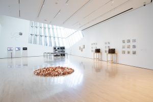 Seeds of Resistance installation view at the Eli and Edythe Broad Art Museum at Michigan State University, 2021. Photo: Eat Pomegranate Photography. Image courtesy of the museum.