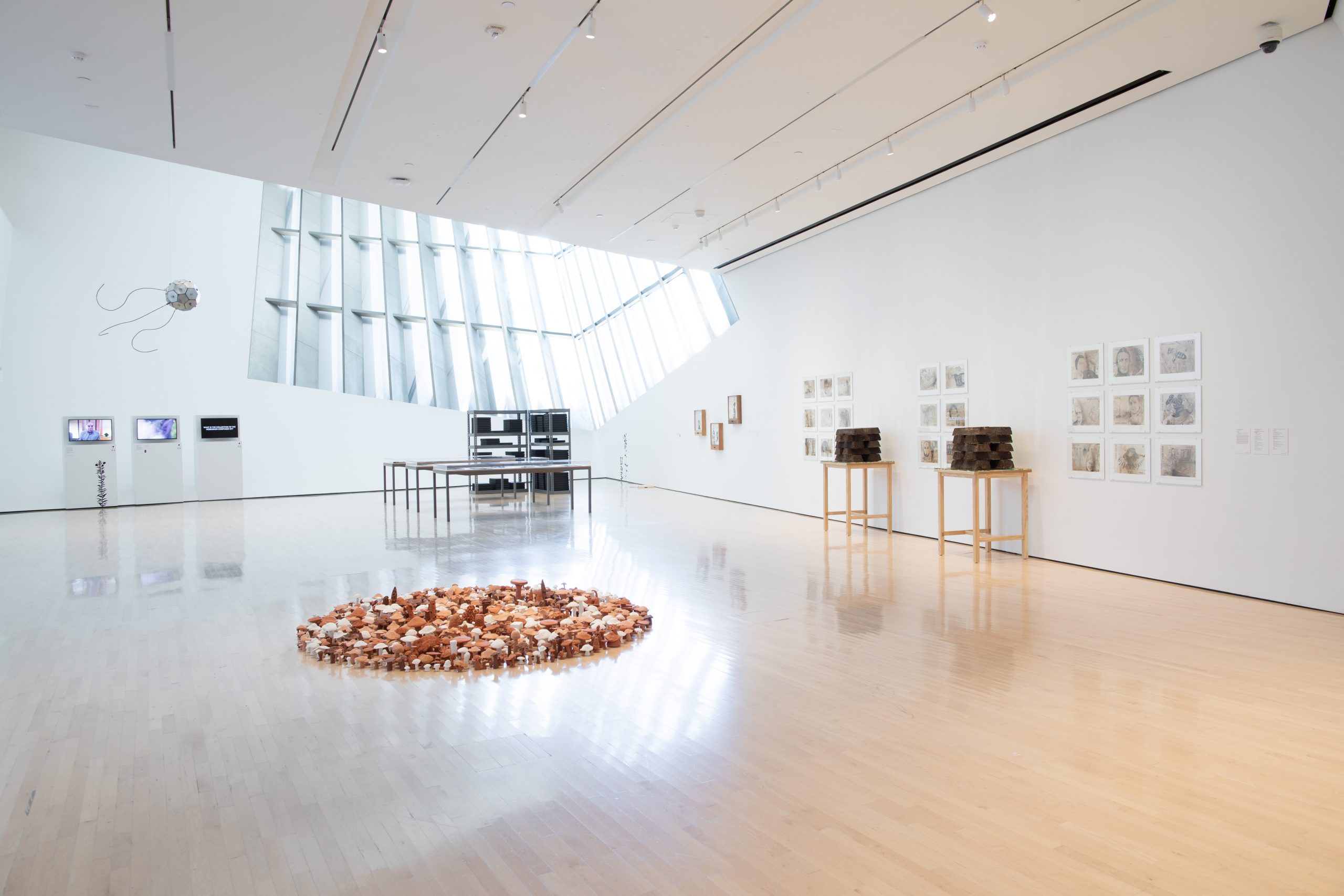 A Seed, a Flower, a Field, a Battleground: A Review of Seeds of Resistance at the Broad Art Museum