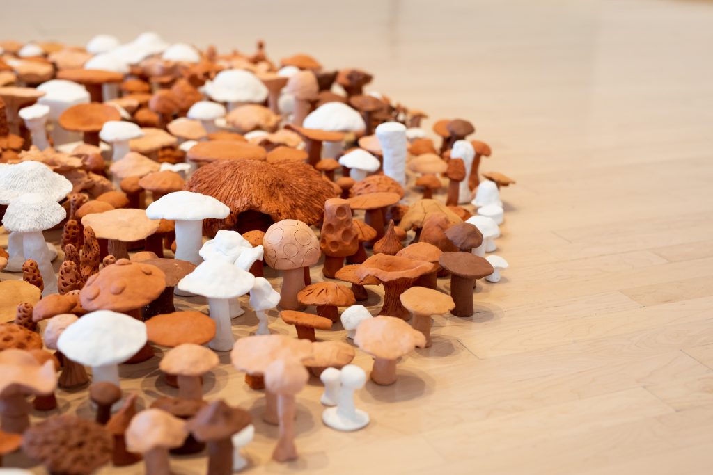 Image: A close up view of Live the Free Fields by Antonio Baluster Moreno as part of Seeds of Resistance at the Eli and Edythe Broad Art Museum at Michigan State University, 2021. The piece consists of small mushroom shapes on the floor of the gallery. Photo: Eat Pomegranate Photography. Image courtesy of the museum.
