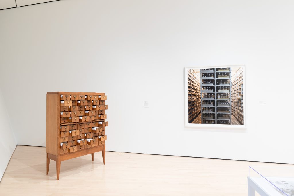 Image: Seeds of Resistance installation view at the Eli and Edythe Broad Art Museum at Michigan State University, 2021. A photograph hangs on the wall to the right of wooden drawers that hold notecards. This piece is titled Encyclopedia by Johannes Heldén and Hokan Jonson. Photo: Eat Pomegranate Photography. Image courtesy of the museum.