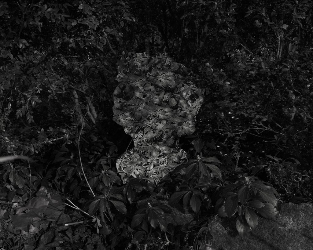 Image: Kelly Kristin Jones, "Untitled (Winter Solstice II)," 2021. Archival pigment print, 16in x 20in. Edition of 3. A black and white photograph showing leaves and plant life. In the center is a ghostly shape of a bust. Image courtesy of the artist.