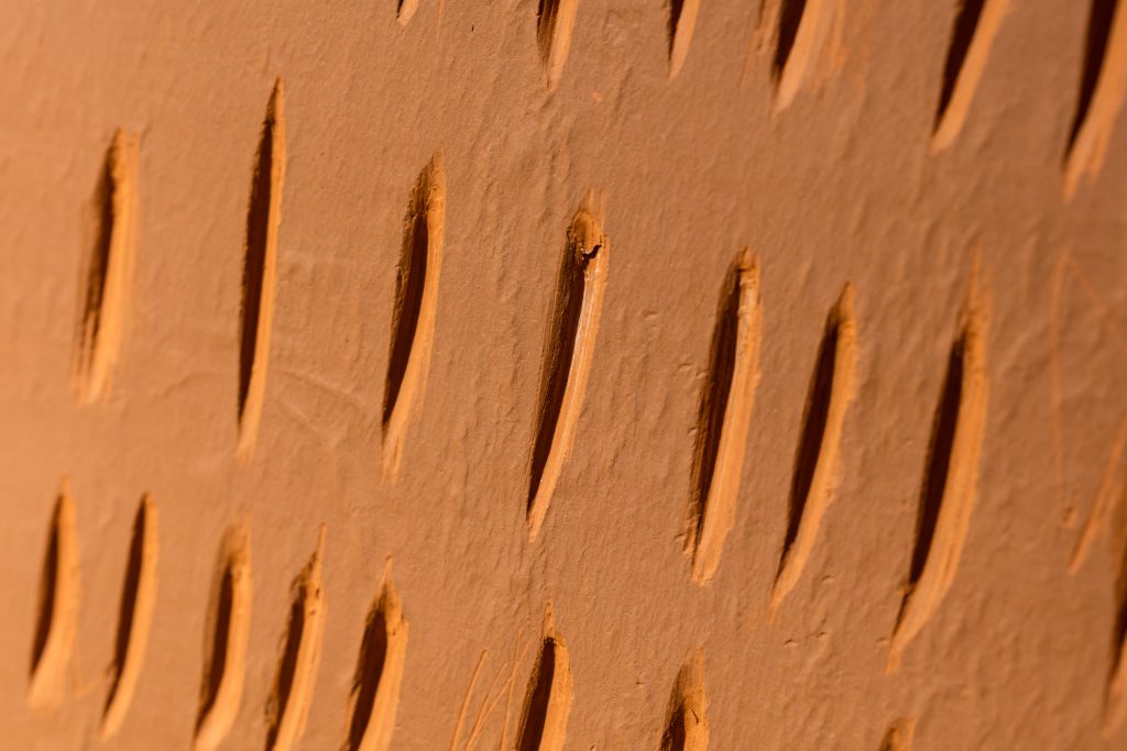 Image: Dig Structures, 2021 (detail) by Gunjan Kumar. Clay with riverbed soil. The photo shows irregular vertical slashes that look like hash marks are carved into hardened clay, evoking archeological digging. Photo Credit: Jonathan Castillo, Courtesy of South Asia Institute.