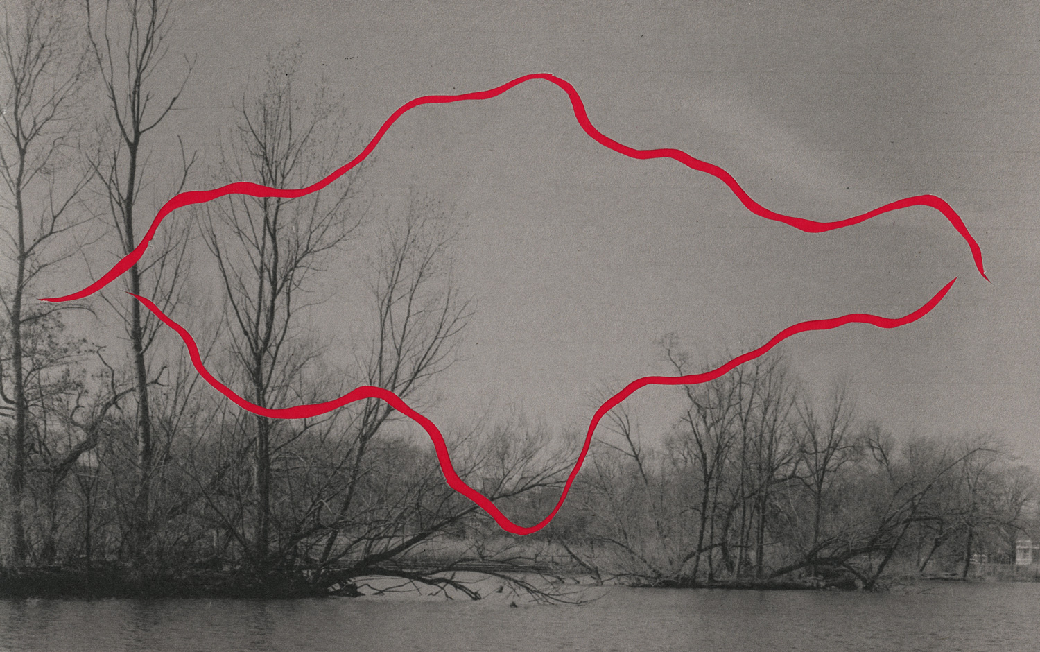 A black and white photograph of trees with no leaves alongside a lagoon of water. There are two cut out lines colored red moving across the image. Image by Ryan Edmund Thiel.