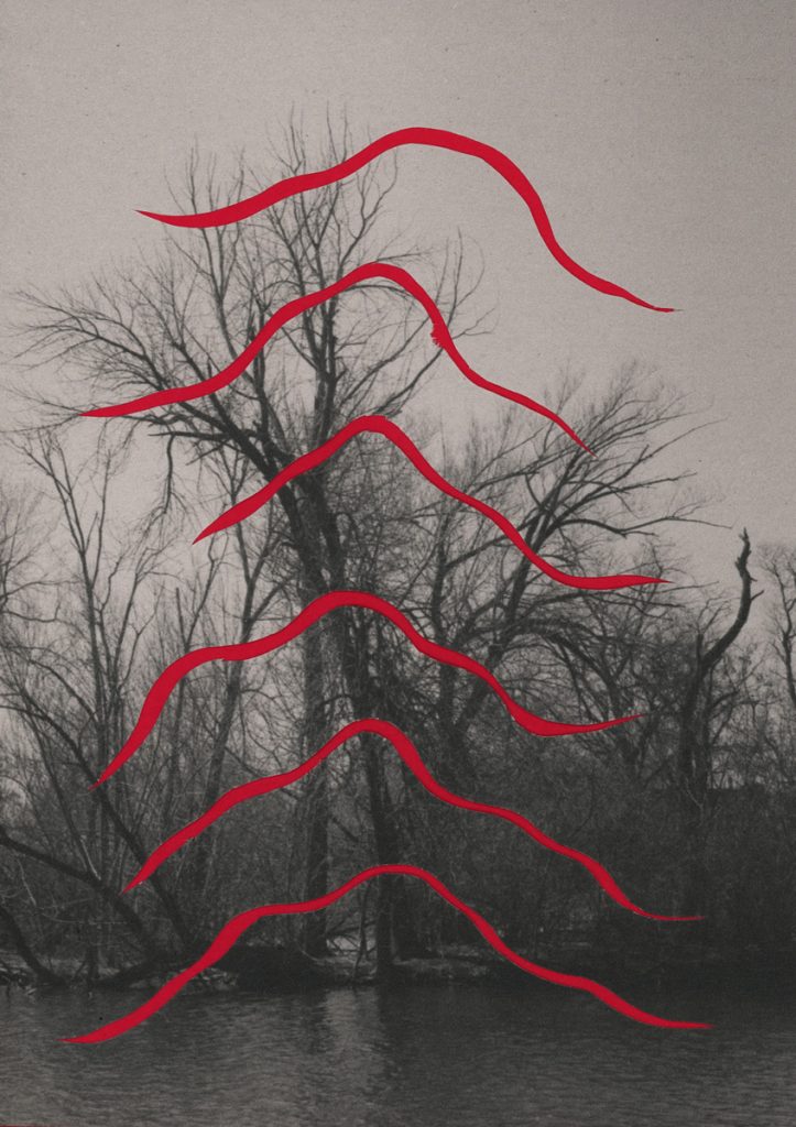 A black and white photograph of trees with no leaves alongside a lagoon of water. There are six cut out lines colored red moving across the image. Image by Ryan Edmund Thiel.