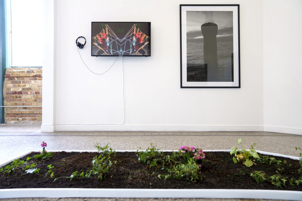 Image: A view of "Dreamscapes: Imaginings of a Black Pastoral" at Roots and Culture. On the wall are two pieces on display: on the left is a video piece and on the right is a framed black and white photo. A rectangle plot of soil and flowers sits on the floor. Photo by Colectivo Multipolar.