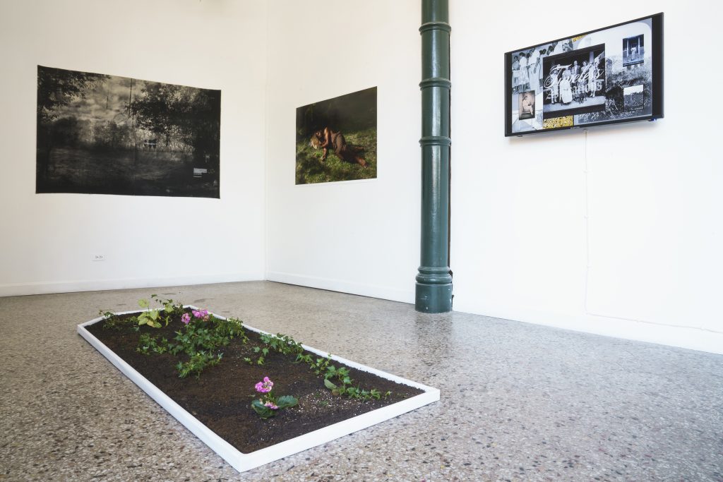 Image: A view of "Dreamscapes: Imaginings of a Black Pastoral" at Roots and Culture. On the wall are three pieces on display: on the left is a black and white landscape, the middle image is a photographic portrait of a person laying nude in the grass, and on the right is a piece that includes multiple photographs elements. A rectangle plot of soil and flowers sits on the floor. Photo by Colectivo Multipolar.