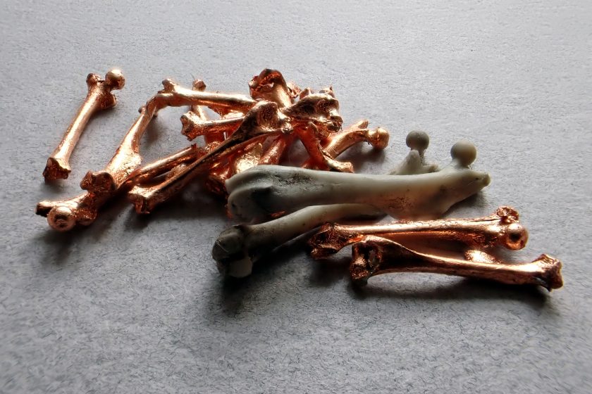 Image: Rebecca Beachy, Mice Bones, 2022. Image centers a pile of mice bones the artist gilds with copper and various metals. Image courtesy of the curator and artist.