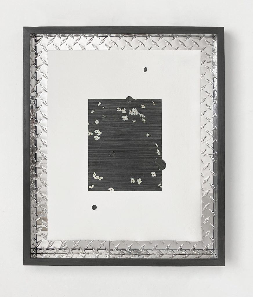 Image: Gary LaPointe Jr., ( flowering dogwood ), 2022, graphite, colored pencil on found photograph and truck mud splatter decal on Hahenmühle paper, repurposed aluminum, graphite treated wooden frame, hardware, 21 x 25 x 1.5”. A black and white piece hanging on the wall. The composition is dark grey with spots of color towards the bottom, and the frame is black on the outside and metal (that resembles the texture on the toolbox) on the inside. Image courtesy of Roman Susan.