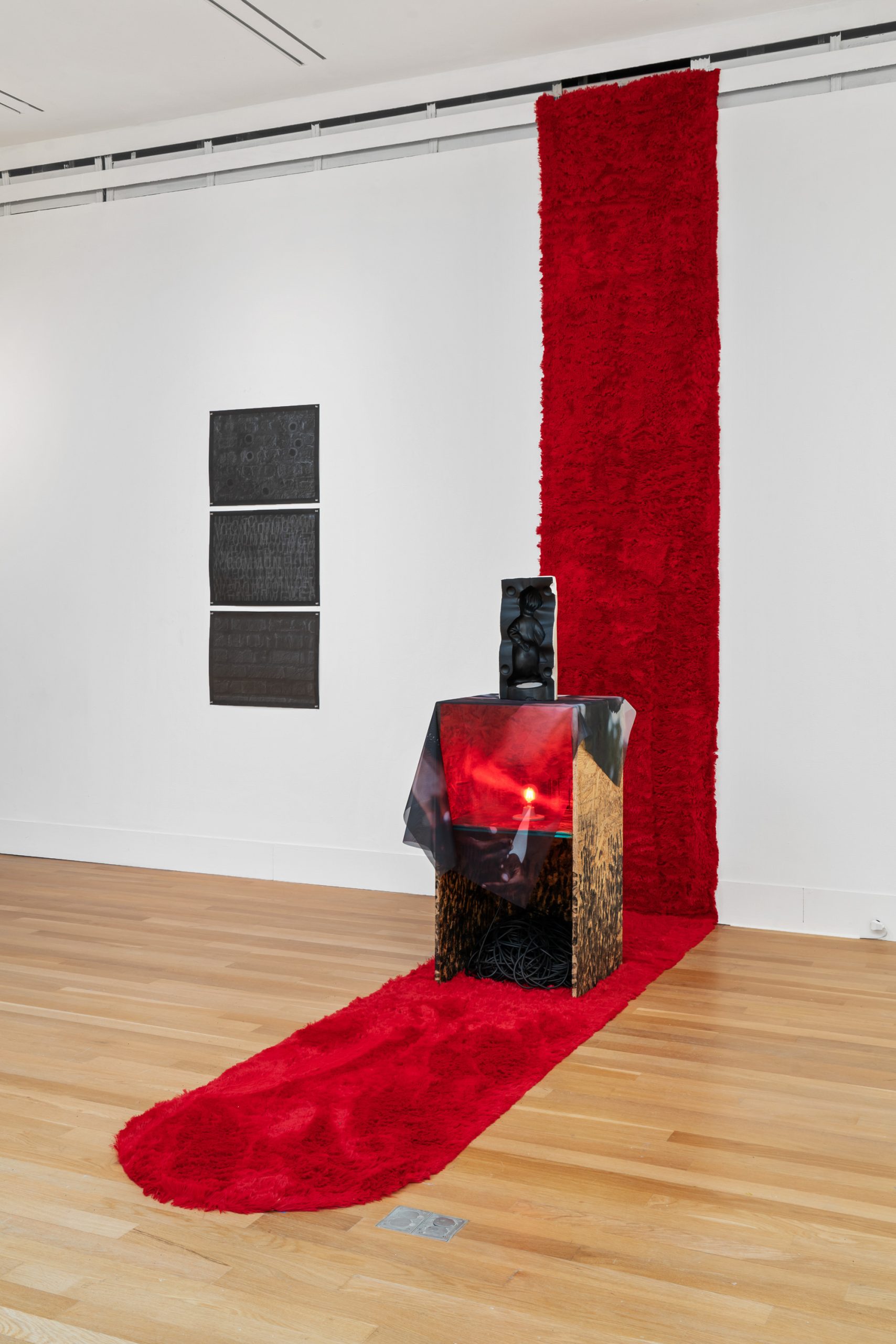 Image: I didn’t think you’d be like that (Mold 2) by Scott Vincent Campbell. An installation comprised of a wooden structure sat on what appeared to be red faux fur. Photo by Robert Chase Heishman.