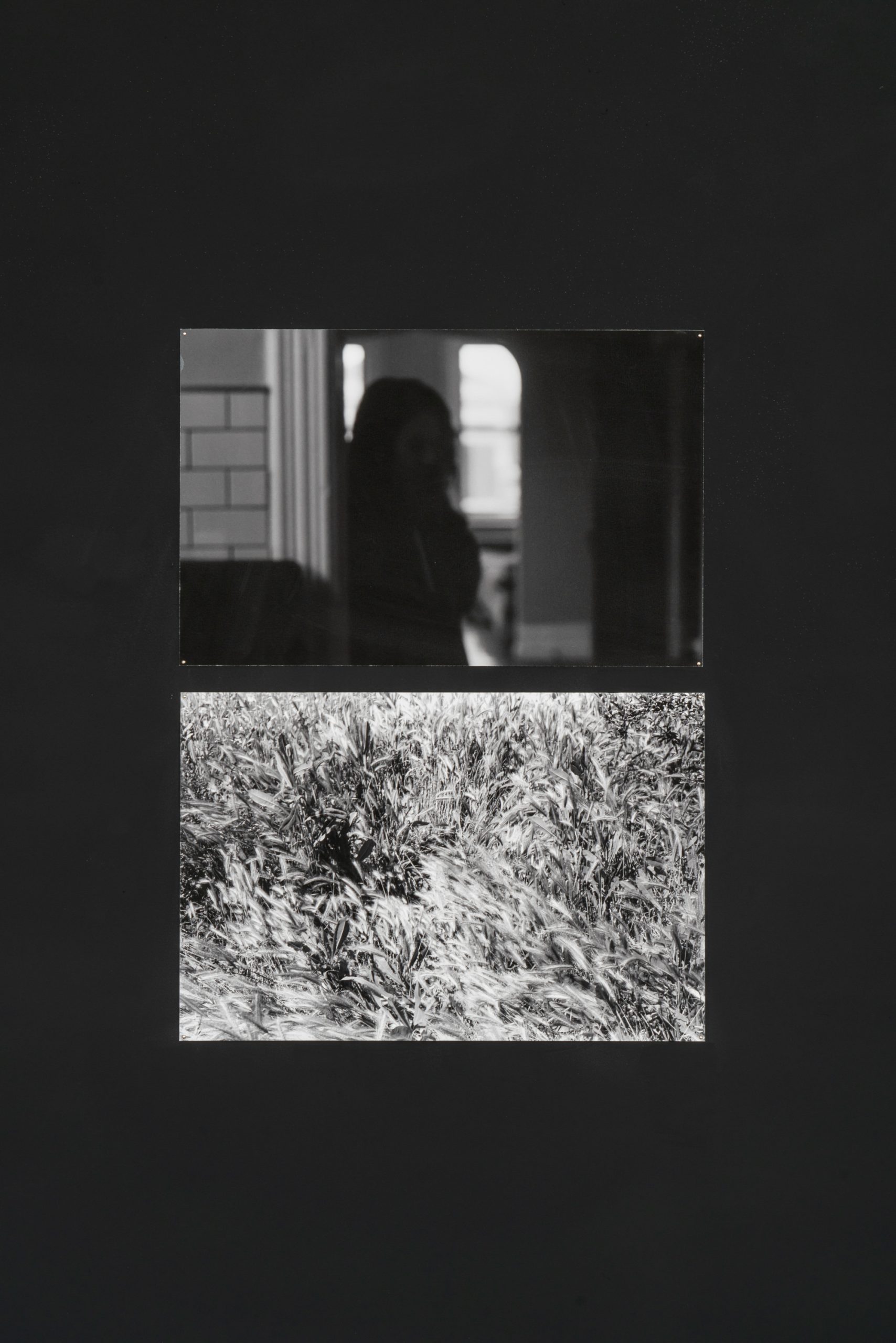 Image: A detail shot of two black and white photographs by Abigail Taubman. The top image is of a person completely in shadow in a doorway, and the bottom image shows a field. Photo by Robert Chase Heishman.