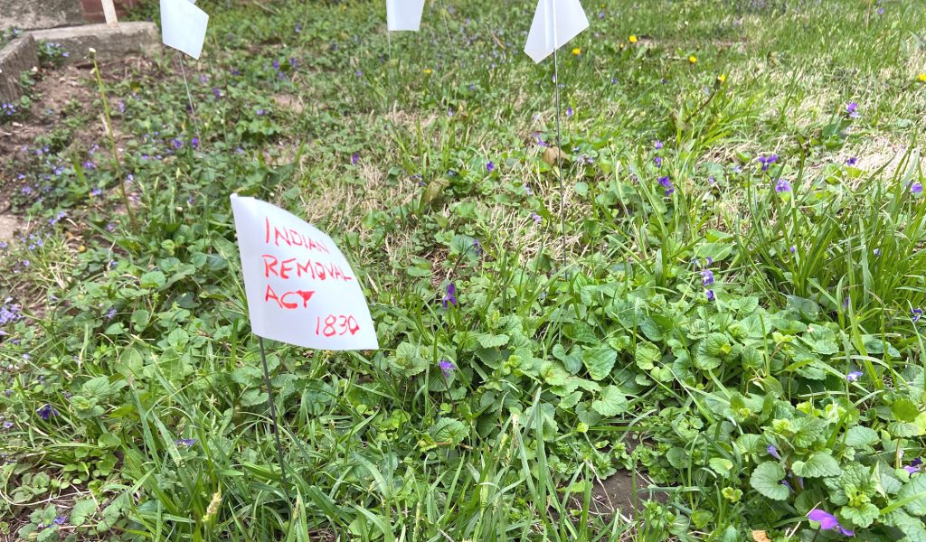 Image: A photo of a small white flag  that is planted in the yard in front of the artist-in-residence house. On the flag is “Indian Removal Act 1830” in red ink. The grass is mostly green, with small purple flowers scattered throughout. There are more small white flags in the background. Photo by Jessica Hammie. 