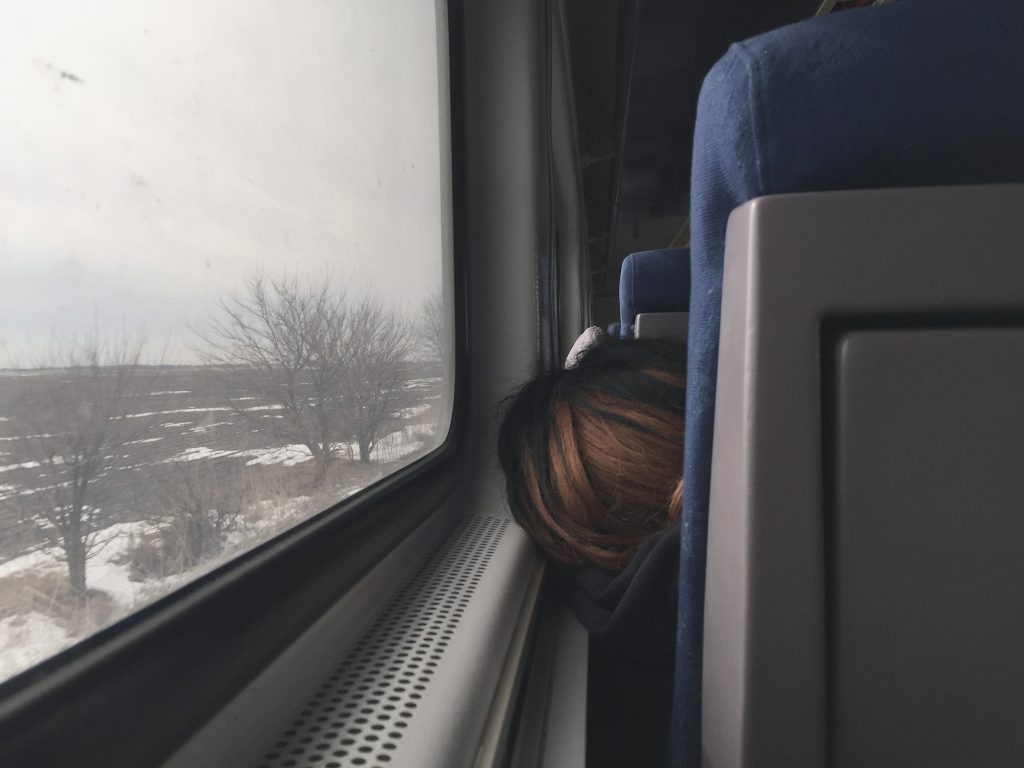 Image: Jin Lee, Train View (Passenger 1), 2019. A photo of the back of the head of a woman, sleeping in a blue upholstered chair, against the train window. Outside the window there is some snow and trees. Her hair has light auburn streaks and rests tilted to the left. Photo courtesy of the artist.