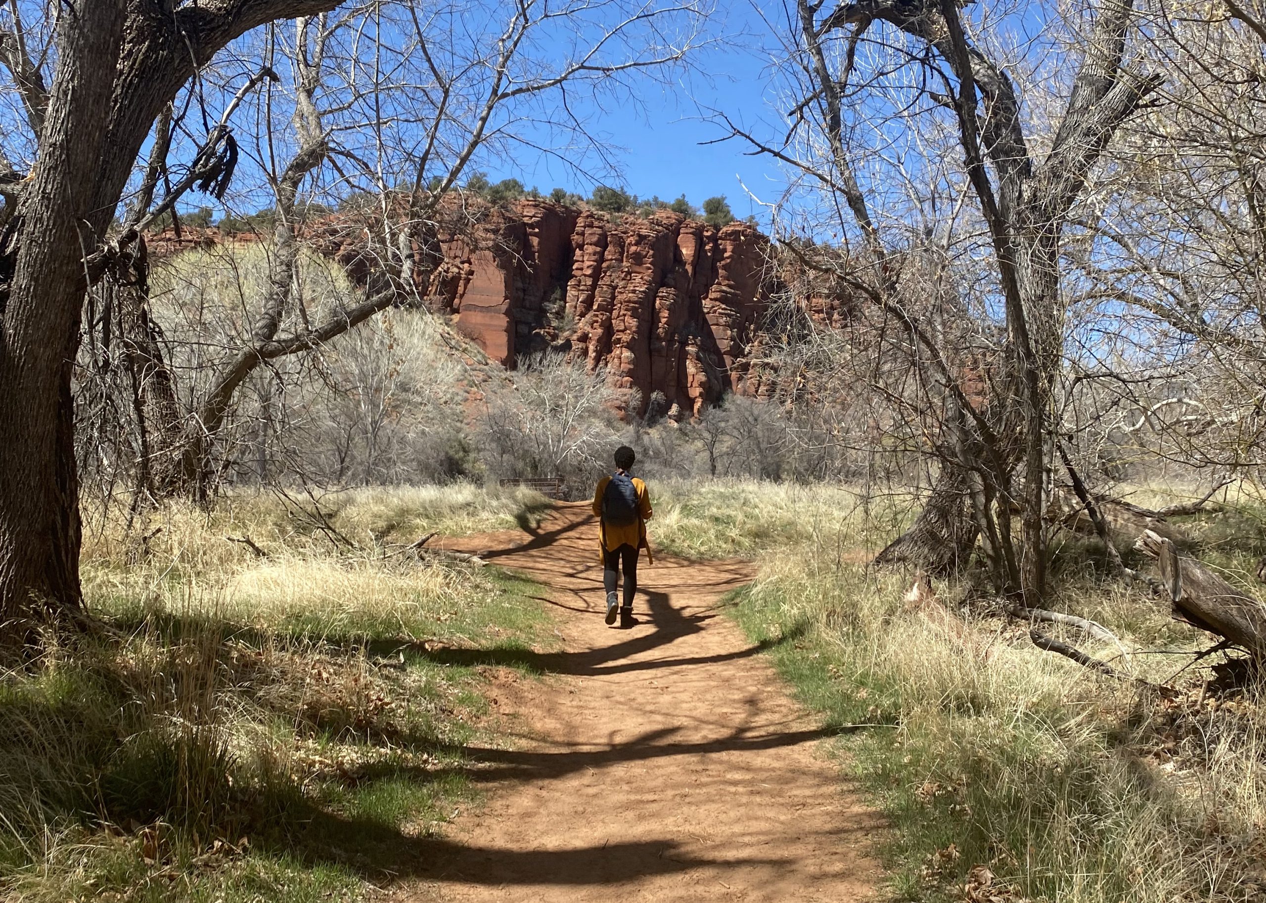 Image: Lauren walks along a trail in Sedona, Arizona in 2021. Above her is a blue sky, beside her are trees and grass, and in front of her are deep red rock formations. Photo courtesy of Lauren Williams.