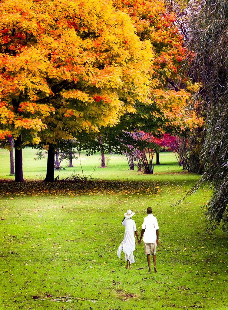 Image: A color photograph by Fred Lott titled Love in Washington Park. Two people dressed in white hold hands while walking in a park. Courtesy of the Washington Park Camera Club.