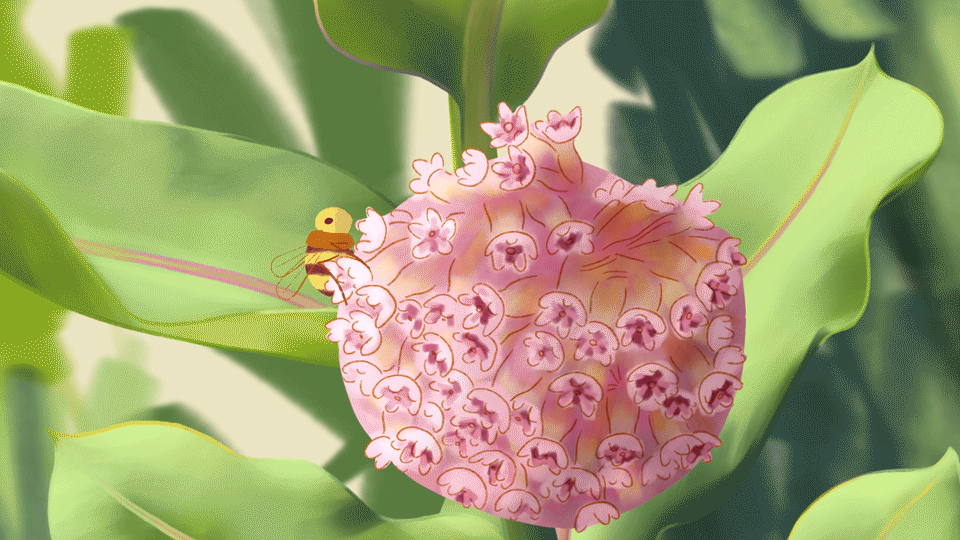 Image: A two-dimensional animation of a bumblebee and pink milkweed flowers. The milkweed plant sways in the breeze, as the bee zips around its flowers before landing. Animation by Kiki Lechuga-Dupont