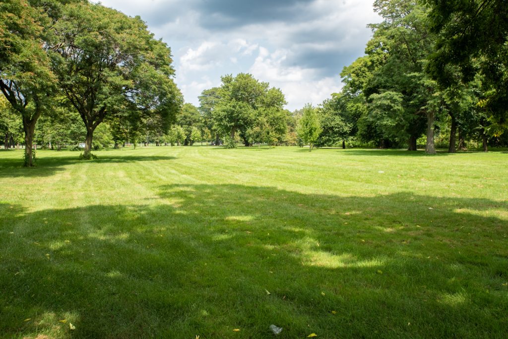 Image: An open meadow where sheep once grazed to keep the grass manicured. Photo by EdVetté Wilson Jones.