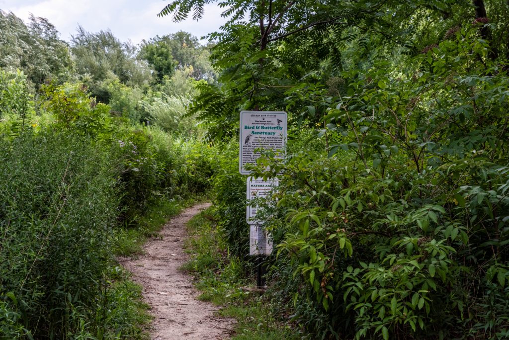 Image: The entry into the bird and butterfly sanctuary in the park. A small sign marks the entrance, and the narrow path turns to the right beyond it. Photo by EdVetté Wilson Jones.