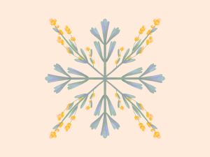 Image: A crystalline structure like a snowflake or a compass, with orange flowers coming out from the hybrid directions and green leaves coming out from the cardinal directions. Illustration by Kiki Lechuga-Dupont.