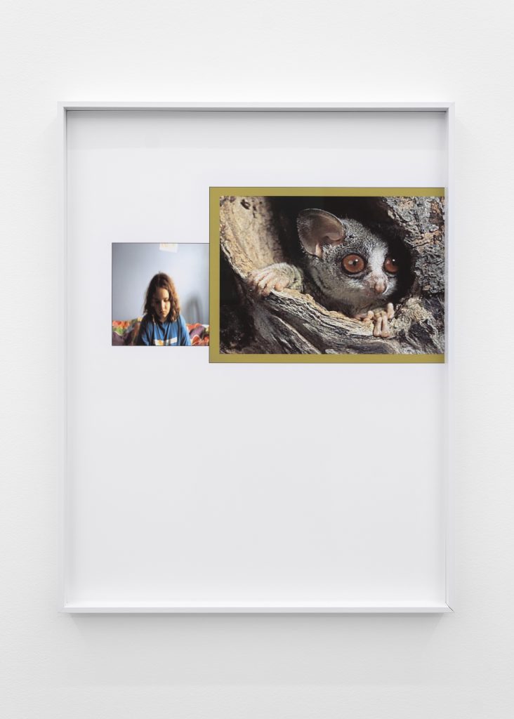 A rectangular, inkjet print pairs two images. The right image, which is slightly larger and has a green border, features a bushbaby peering out of a tree cavity while the left image features a self-portrait of a downcast child Liz in a blue and white shirt sitting on a floral bedspread.