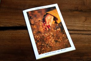 The cover of Something To Look Forward To Issue #1, Artists on Ecology, Land, and Place. A photograph is centered on the page and displays a hand caressing flowers in a Midwestern prairie.