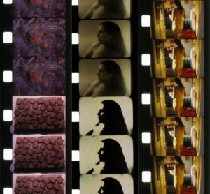 Image: Collage of reels from the film Five Year Diary. Courtesy of the Anne Charlotte Robertson Collection, Harvard Film Archive, Harvard University.