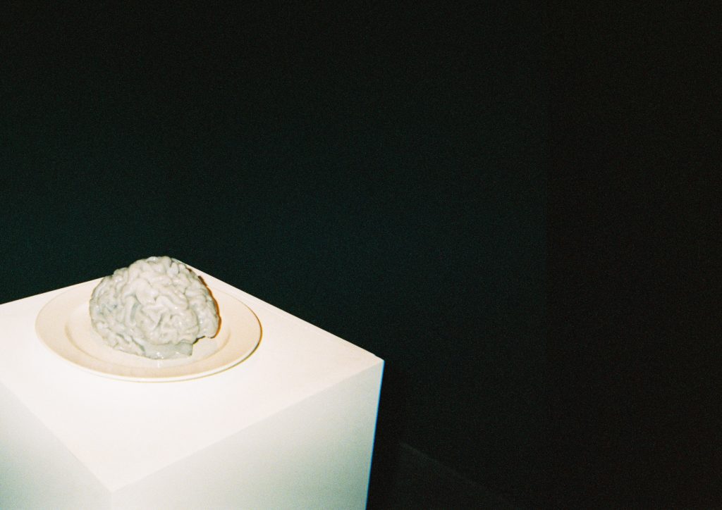 Image: A film photograph of Maya Dunietz’s installation, Brain on a Plate. Am over-saturated photo (caused by flash) of a human-like brain on a plate. The piece is installed on a white pedestal to the bottom left in the photo. The rest of the photo is blacked out by the flash. Photo by Jared Brown.