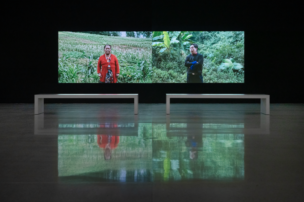 Image: Pao Houa Her, Paj qaum ntuj / Flowers of the Sky, 2022. A dual screen color still from the exhibition video features a woman in a field on the left side and a man in a dense jungle on the right. The figures are centered in the foreground on each frame, facing the viewer. Photo by Eric Mueller for Walker Art Center. Image courtesy Walker Art Center, Minneapolis.